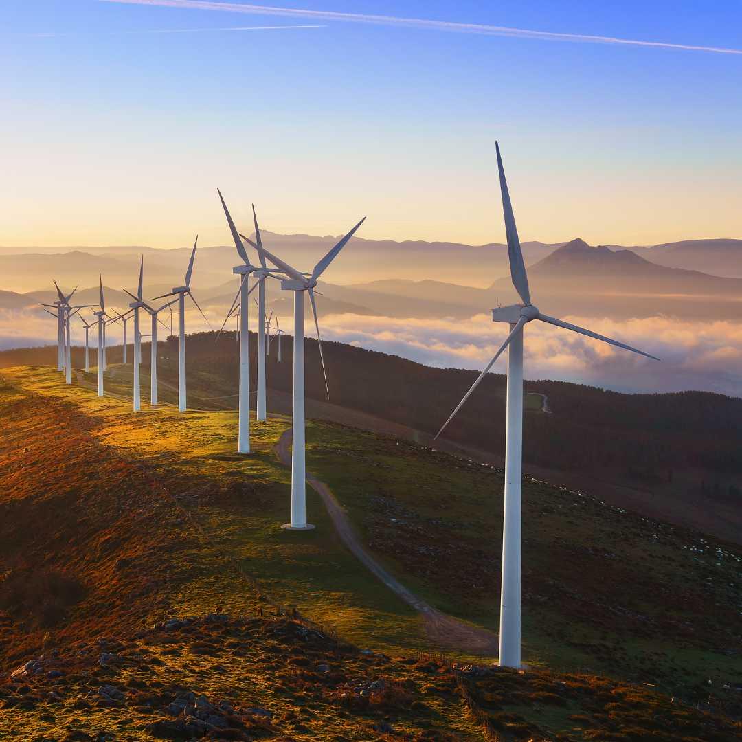 Renewable Energy